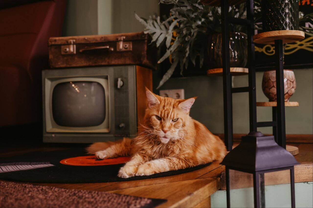 Очень вкусные пироги